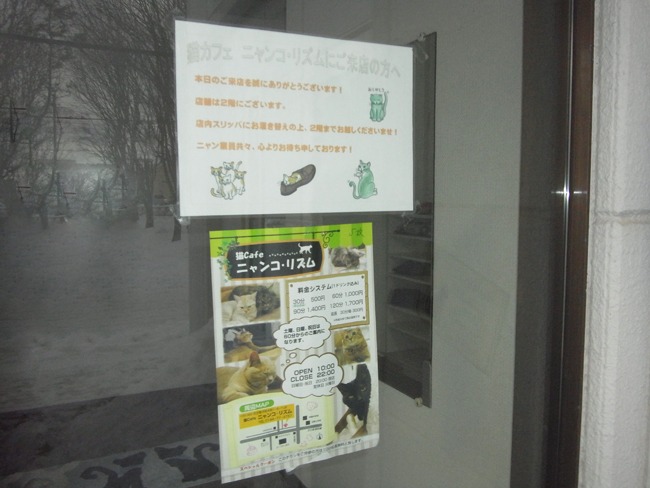 猫カフェ苫小牧のポスター