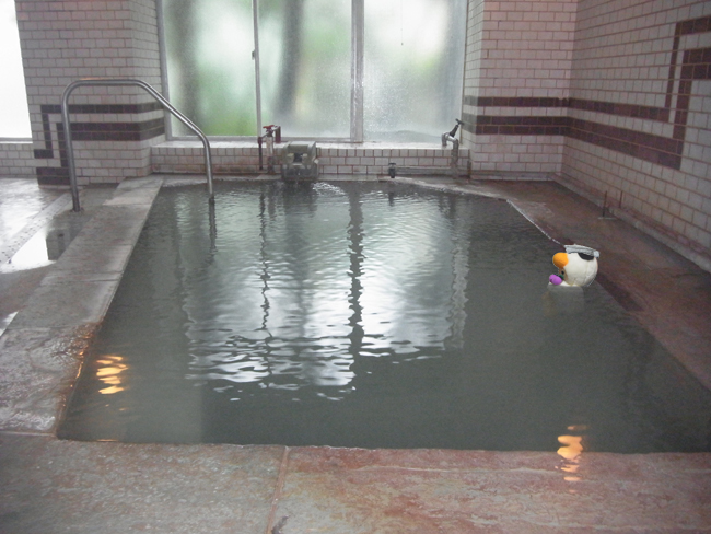 滝本インの温泉浴槽